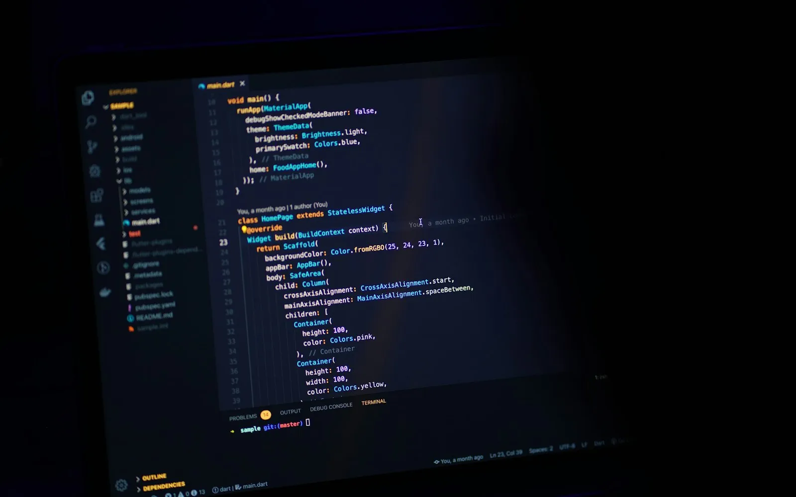 A code editor on a dark screen showing Dart code, with a terminal panel at the bottom