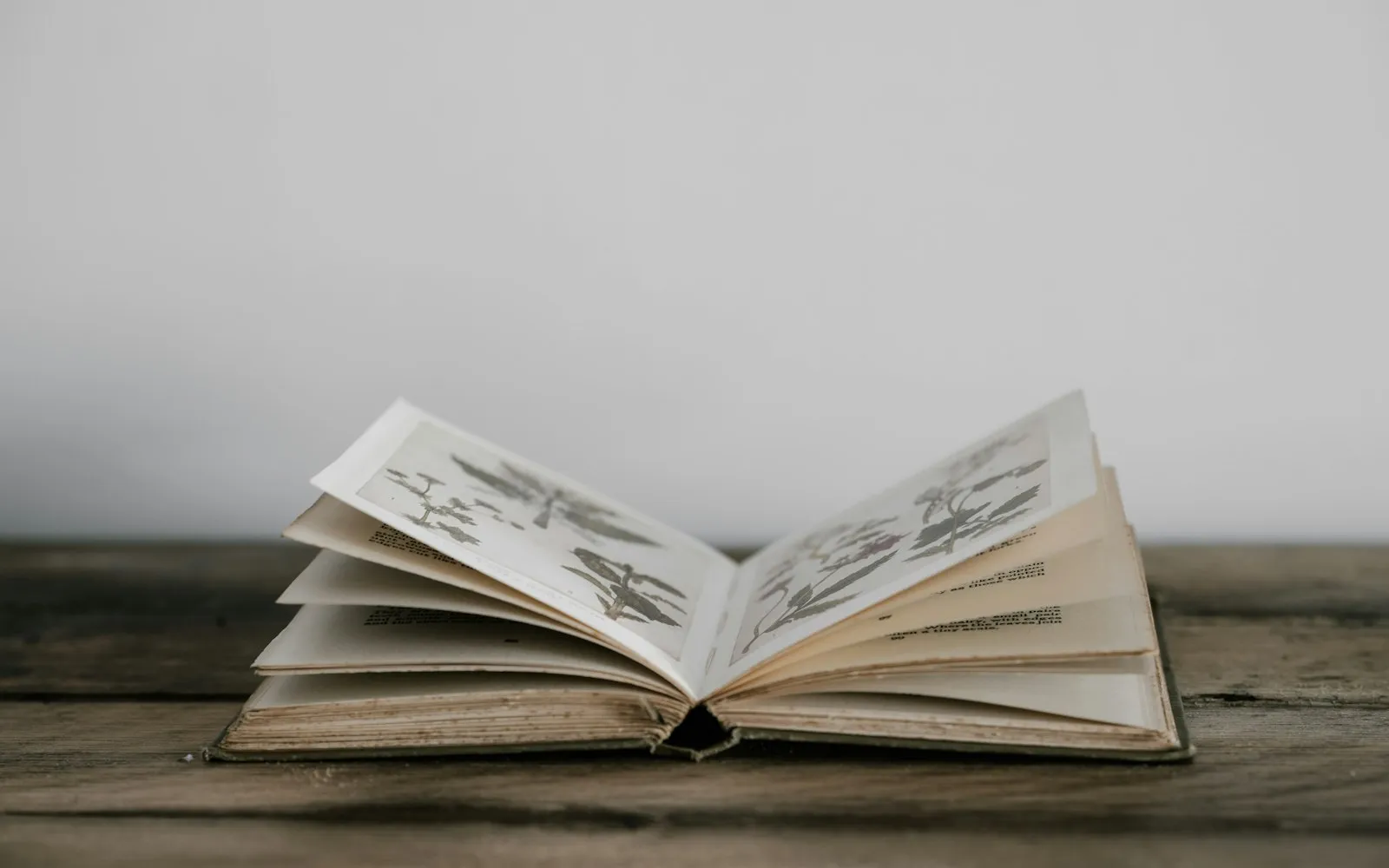 An old book lying open on a wooden surface with its pages fanned, showing botanical illustrations